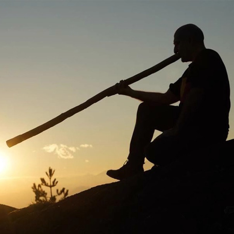 Bamboo Didgeridoo Professional - Musical Instrument Didgeridoo 评论和价格