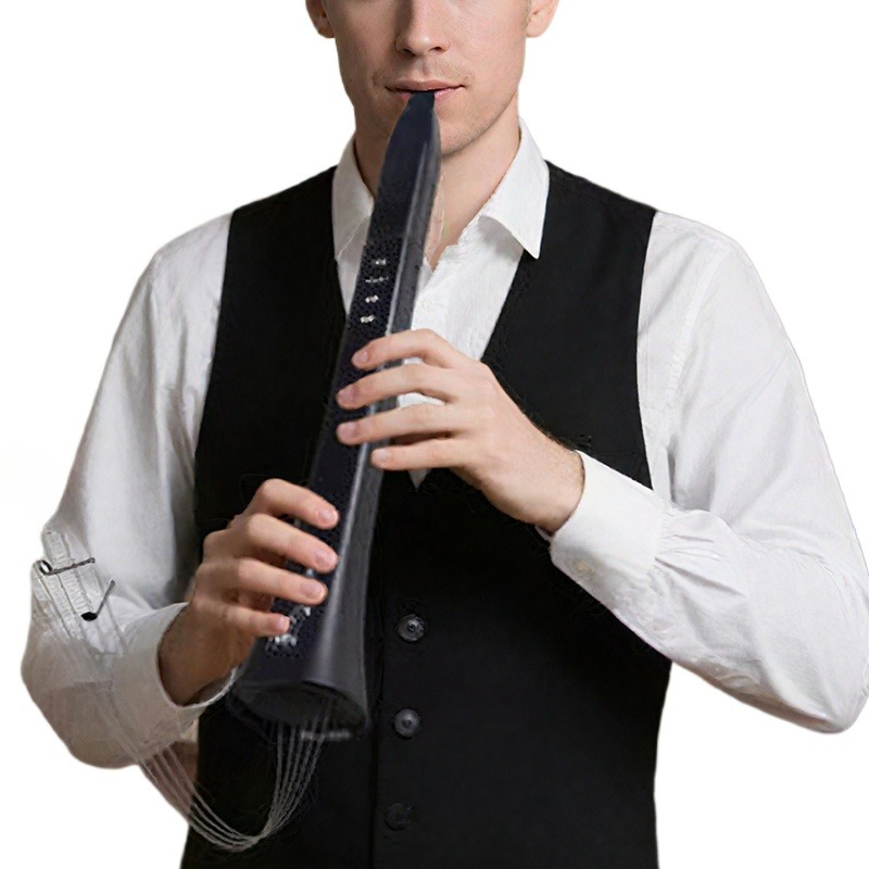 Portable Electronic Wind Instr - Musical Instrument With A 评论和价格
