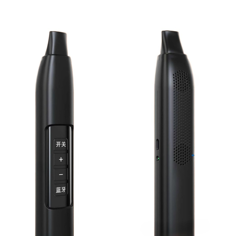 Portable Electronic Wind Instr - Musical Instrument With A 评论和价格
