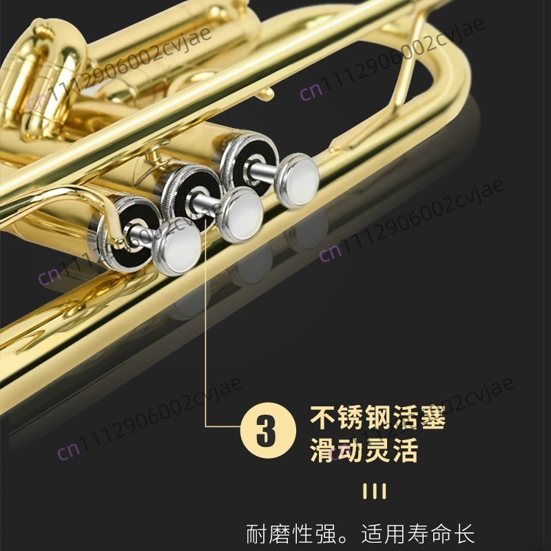 Suitable for Jinbao trumpet mu - Musical Instrument Band 评论和价格