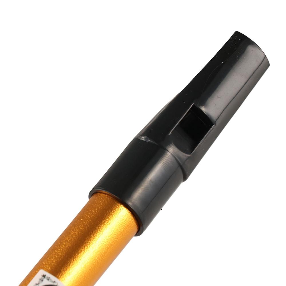 Musical Accessories 6 Hole Iri - Musical Instrument Flute 评论和价格