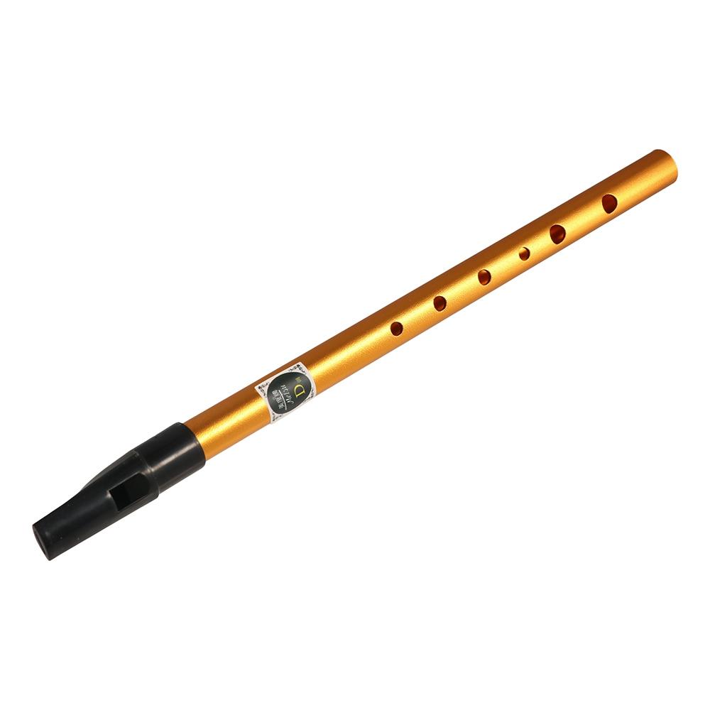 Musical Accessories 6 Hole Iri - Musical Instrument Flute 评论和价格